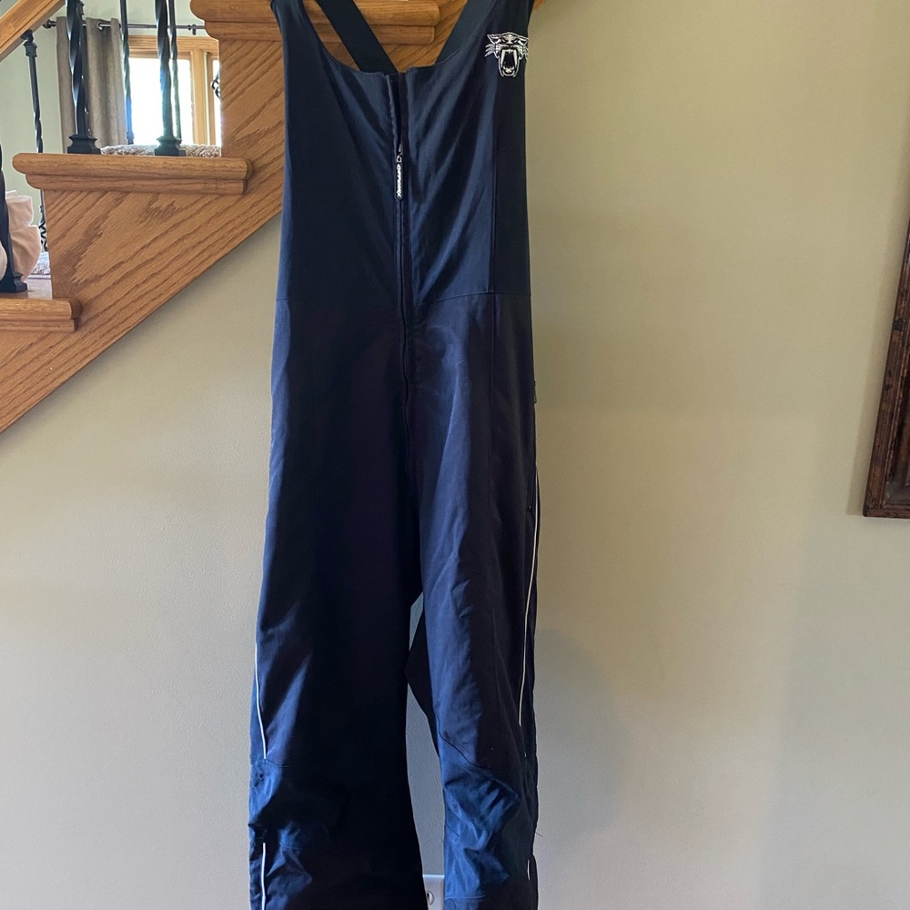 Attic Cat Fashion Fit Women’s Snowmobile Thinsulate Bibbs